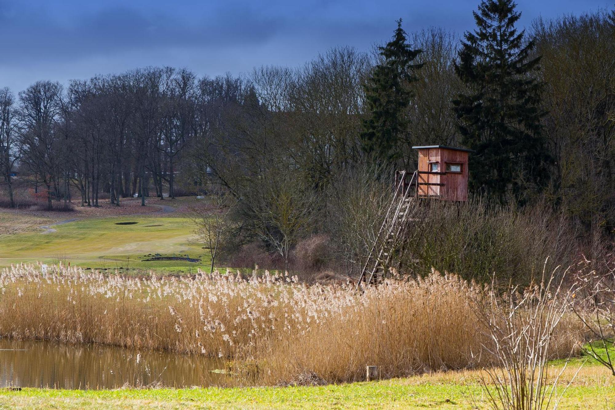 Tiny House Fleesensee Mit Eigenem Garten Und Nur Wenige Meter Vom Seeufer Göhren-Lebbin エクステリア 写真